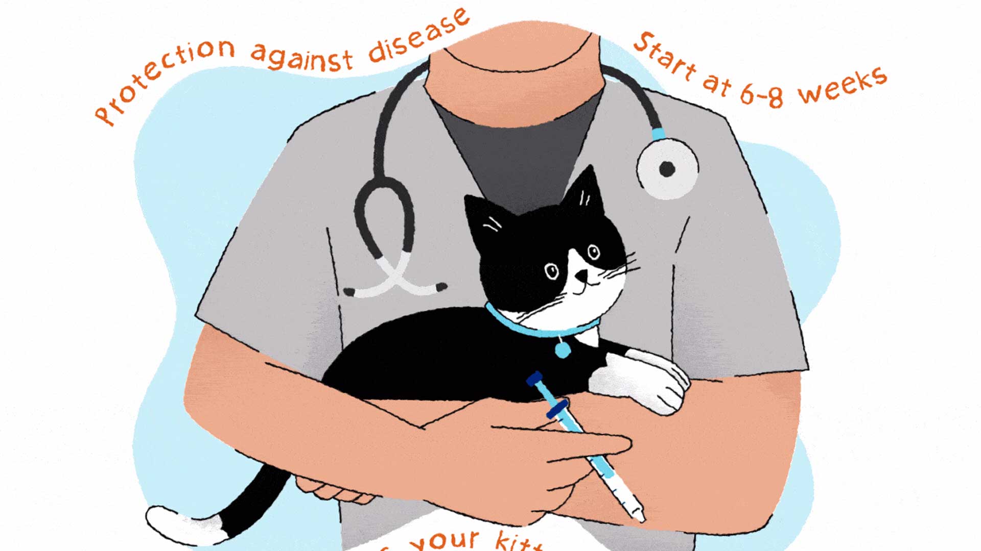 Illustration of a veterinary professional holding a kitten