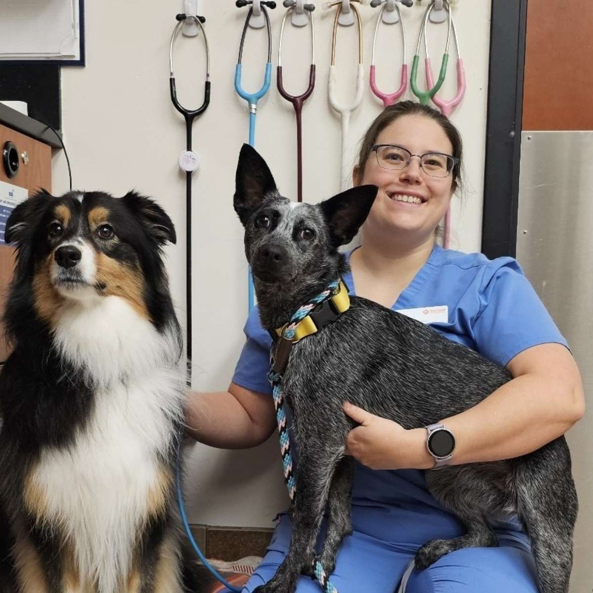 Profile picture of Beth Auld, CVT, Credentialed Veterinary Technician