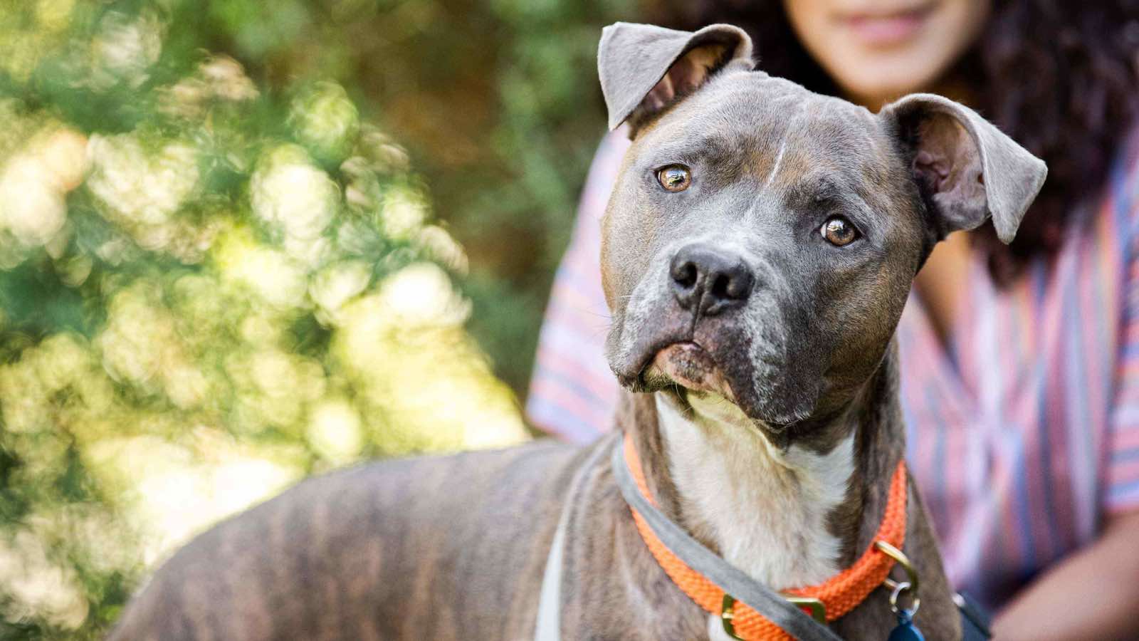 Banfield Pet Hospital