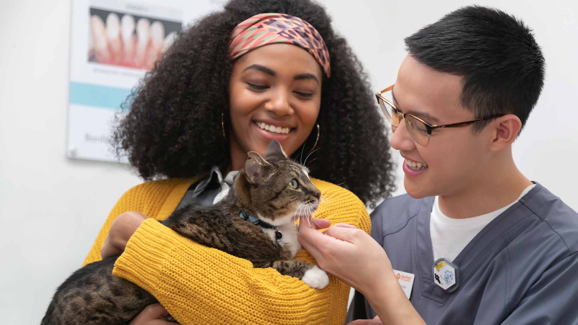 20191116_020_16x9M Vet assistant Joseph Slater pets a cat in the arms of a client