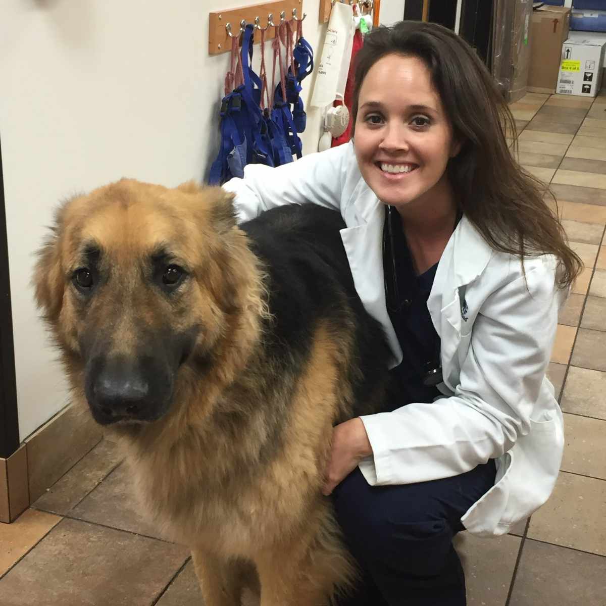 Profile picture of Kelley Frake, DVM, Veterinarian