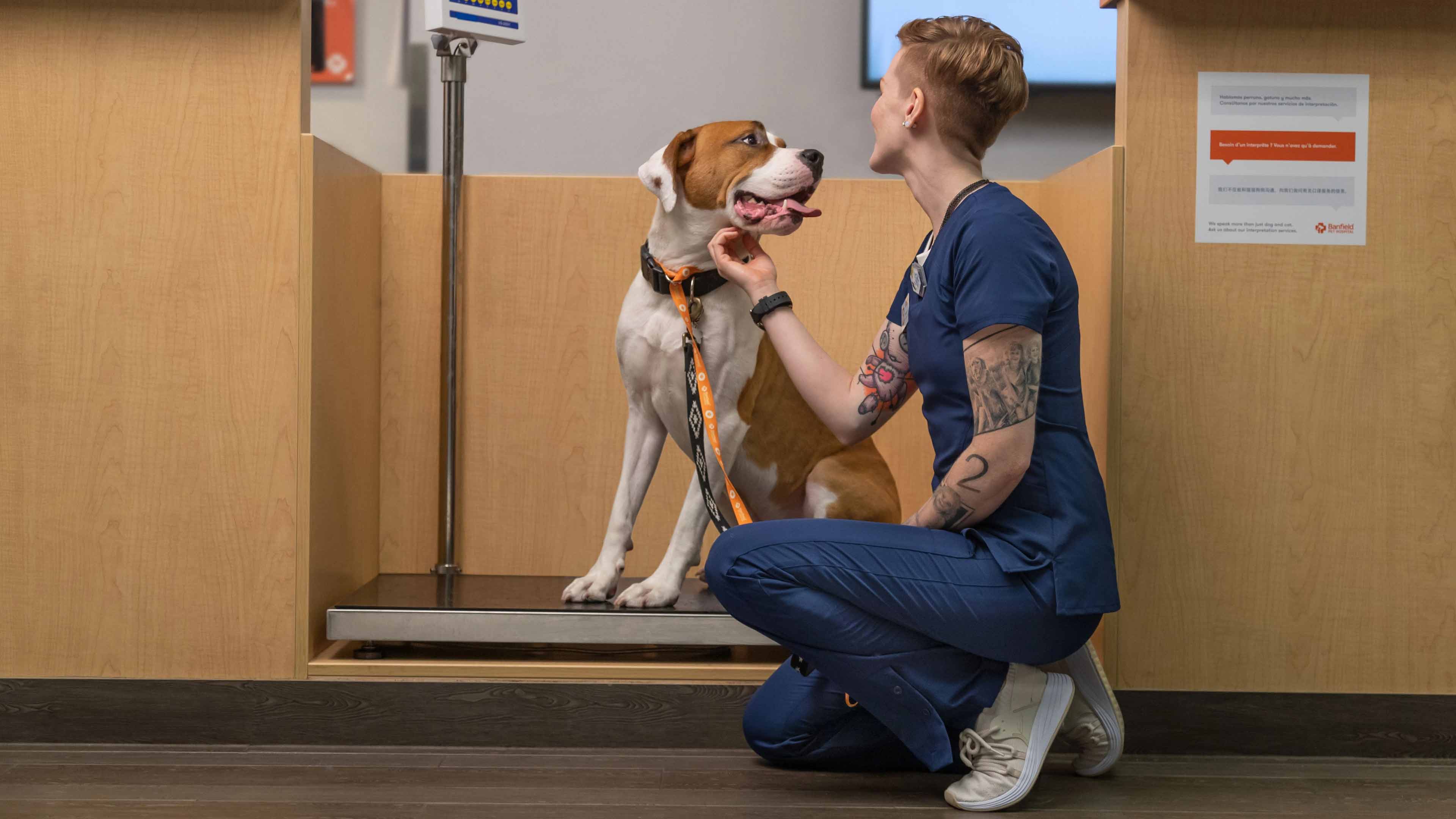 Banfield employee and dog