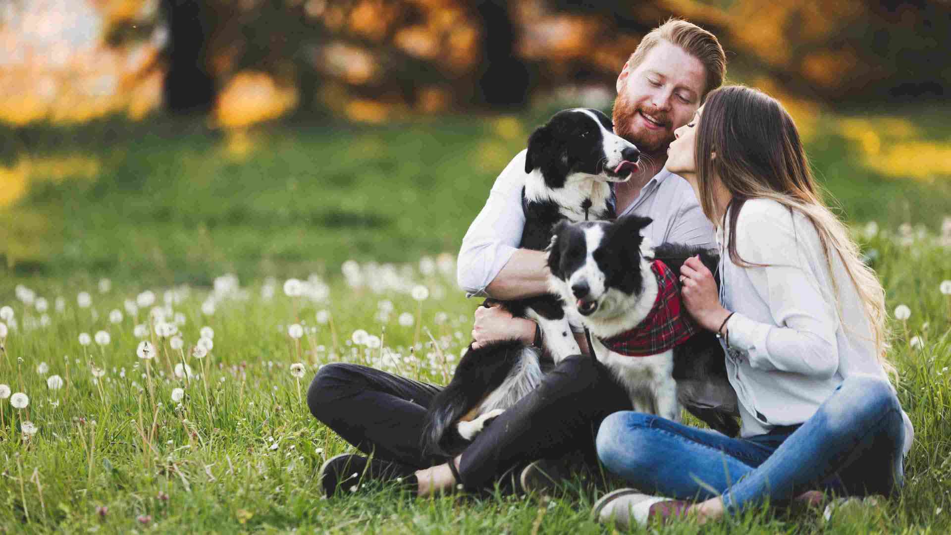 Couple hugging dog