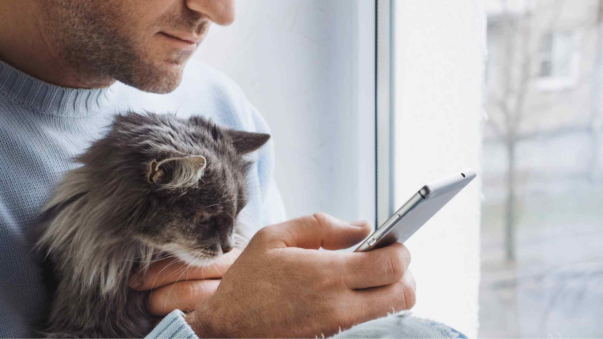 Banfield virtual petcare