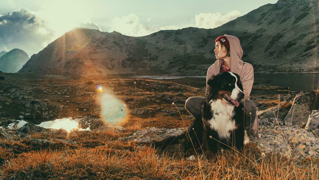 dog and owner near camp fire in mountains