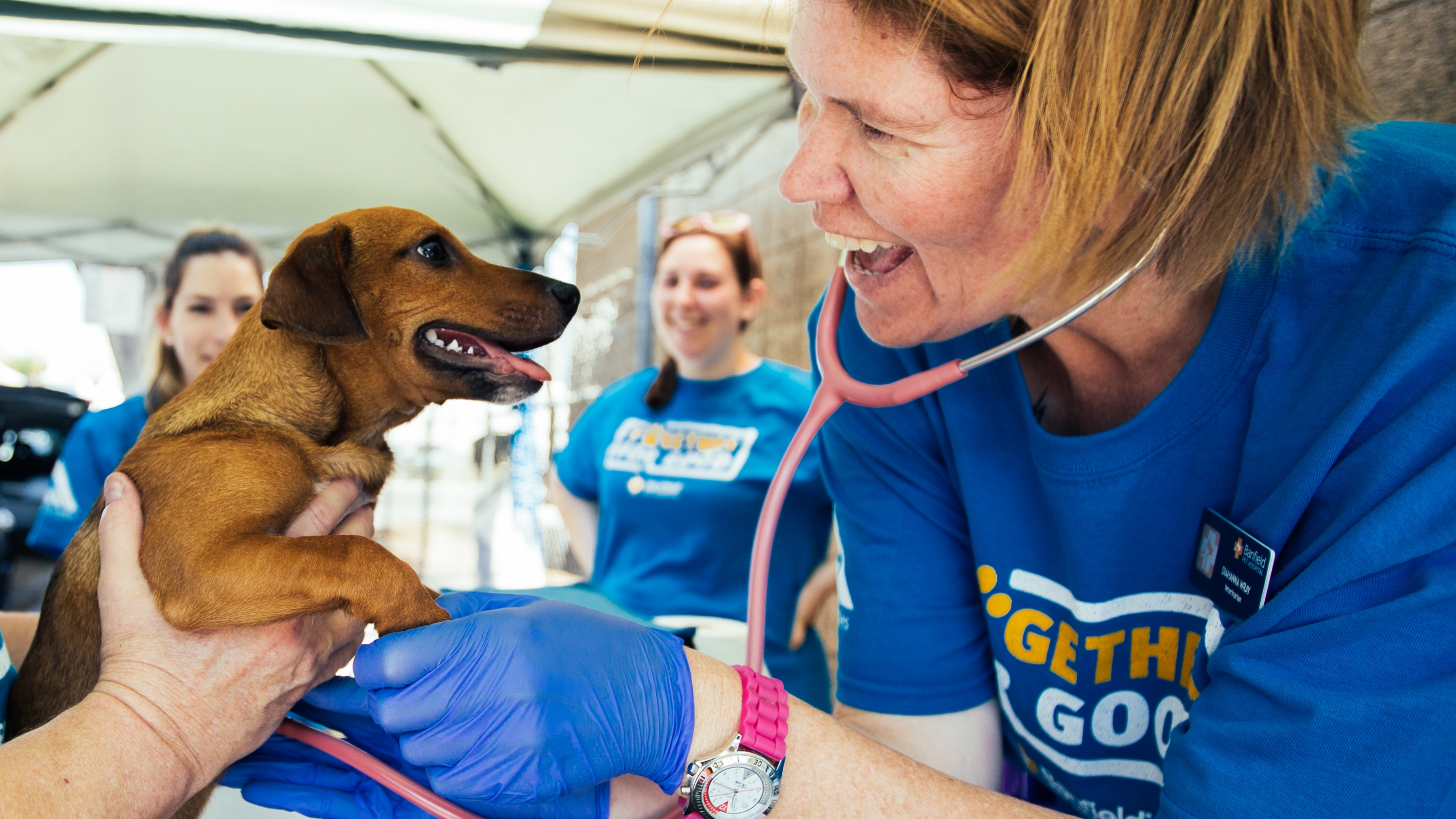 every pet deserves access to veterinary care