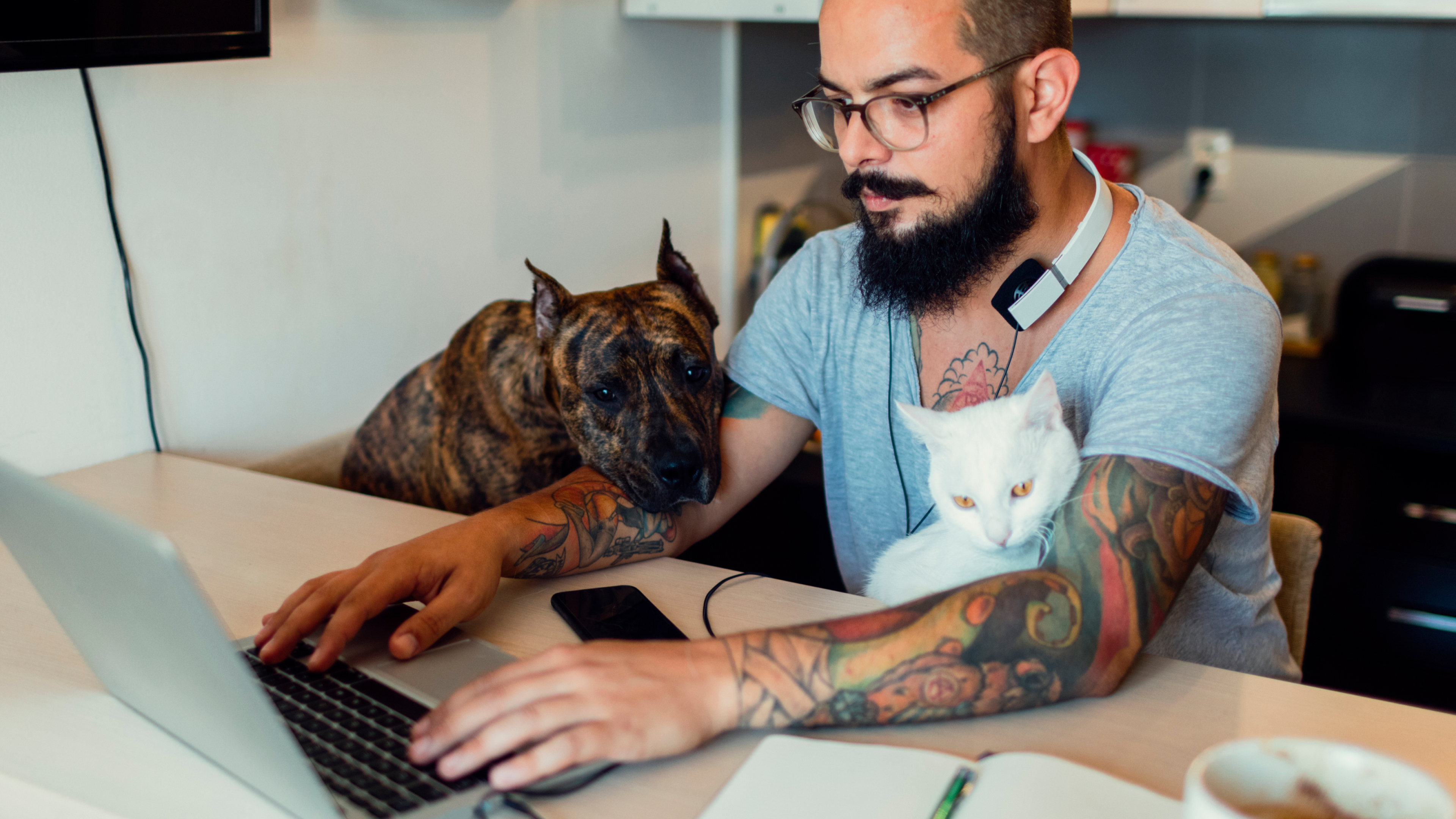 Working With Pets