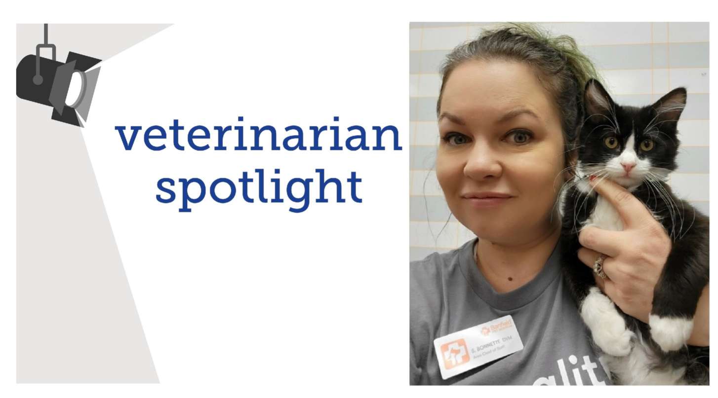 Vet Spotlight, Stephanie Bonnette, DVM | Banfield Pet Hospital®