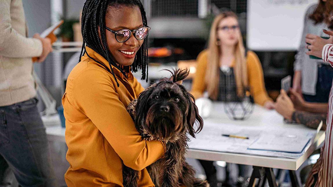 Pet-friendly workplaces