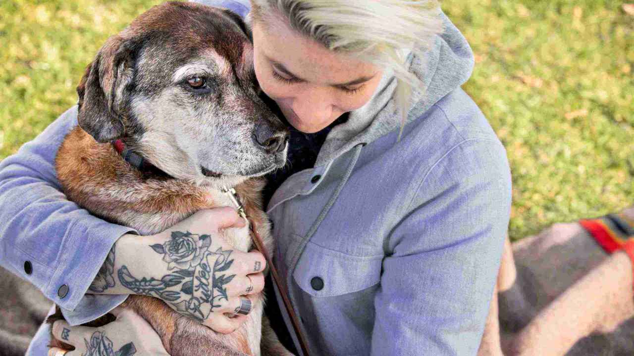 Owner hugging dog