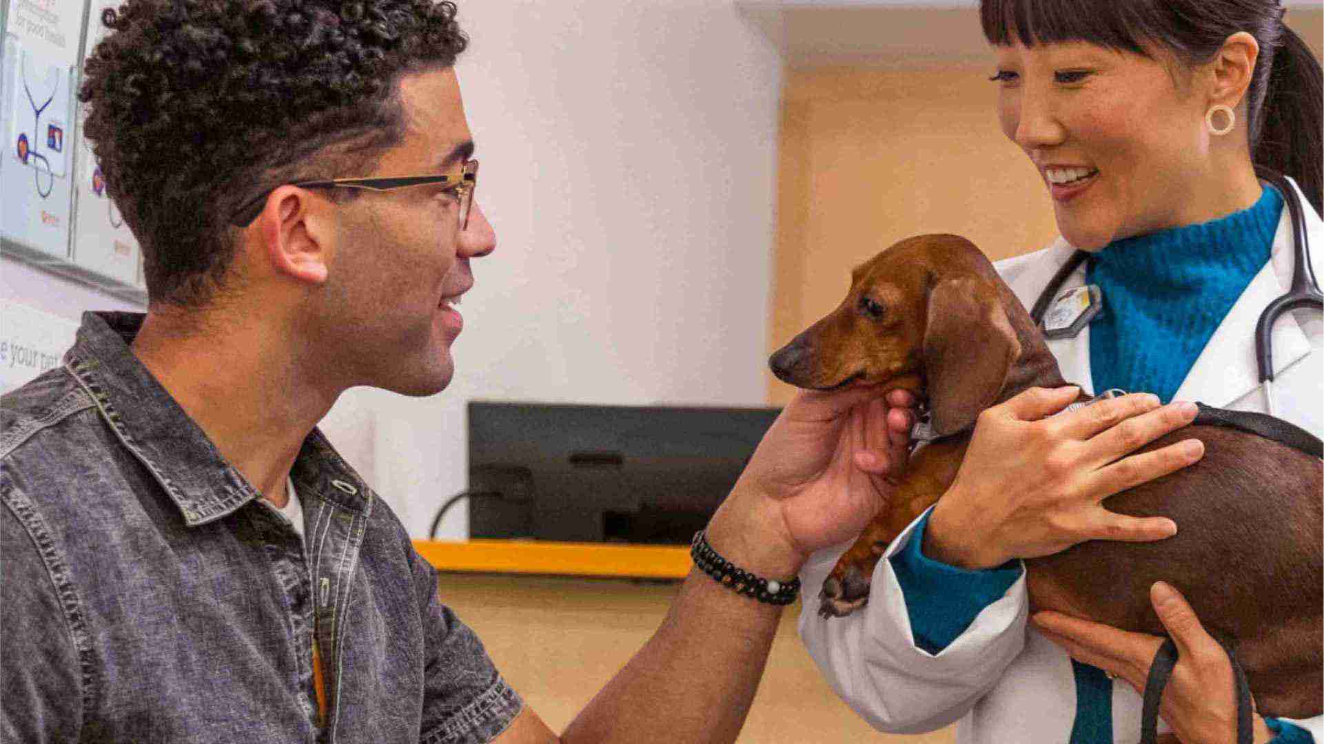 A pet owner petting his dog while a young female veterinarian holds it at the Banfield Pet Hospital