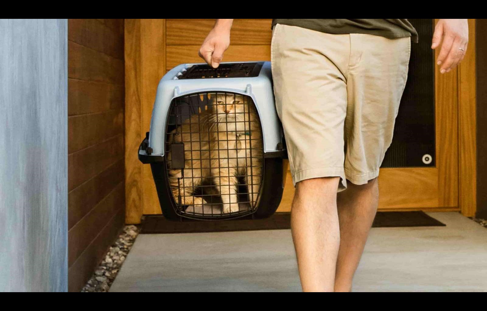 A cat owner carrying his cat in a crate