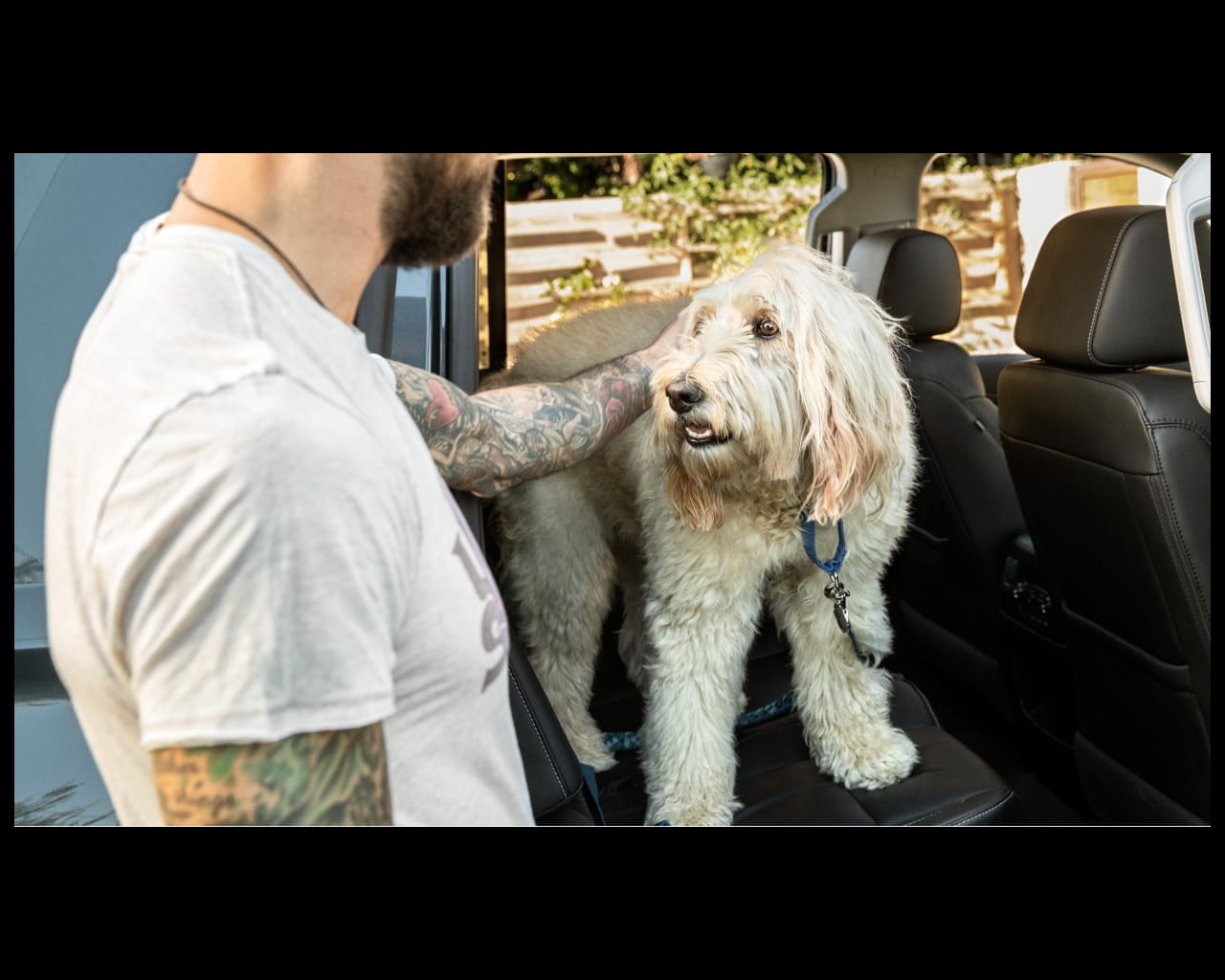 A dog owner petting his dog and trying to make it step out of the car