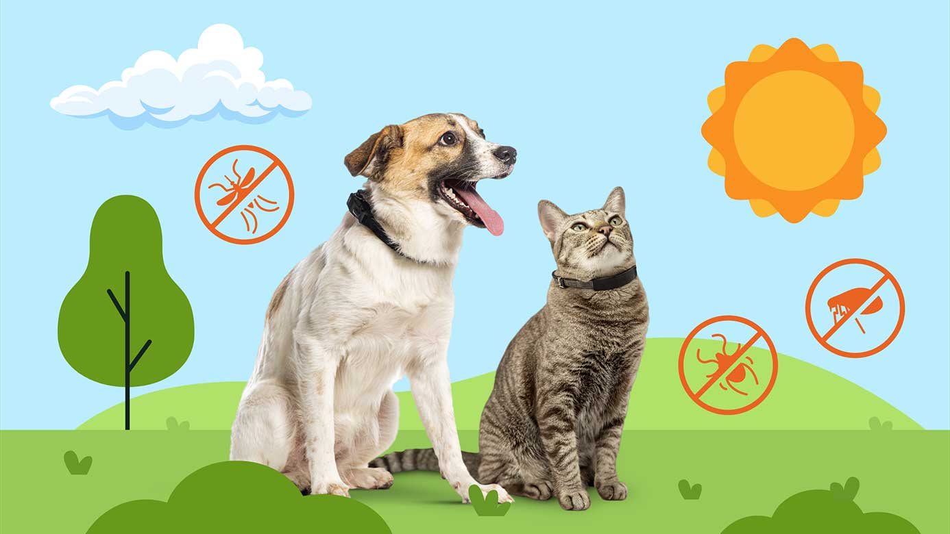 A dog and a cat sitting in an illustrated field