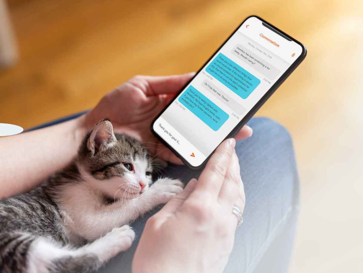 Pet owner using Banfield's live pet chat to ask health questions about her cat