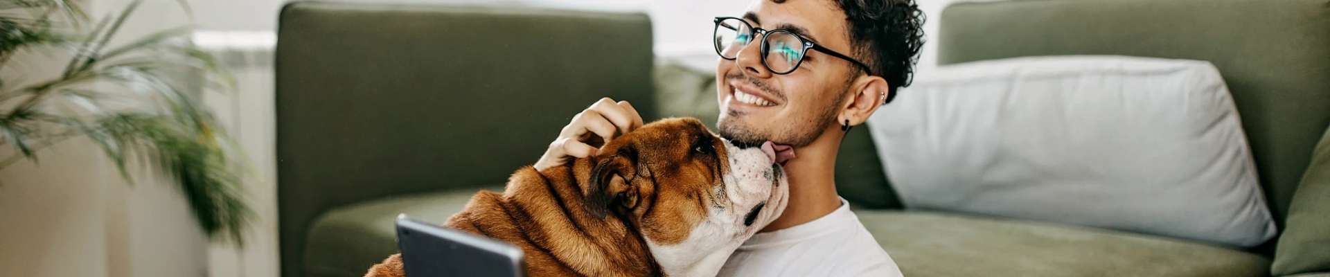 A happy bulldog affectionately licks its owner's face