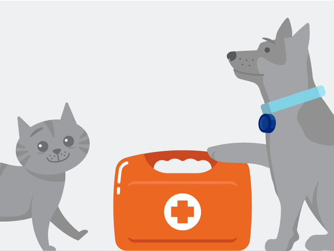 Illustration of a dog and a cat with a first-aid kit