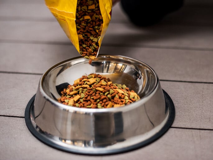 Dog food being poured into metal bowl