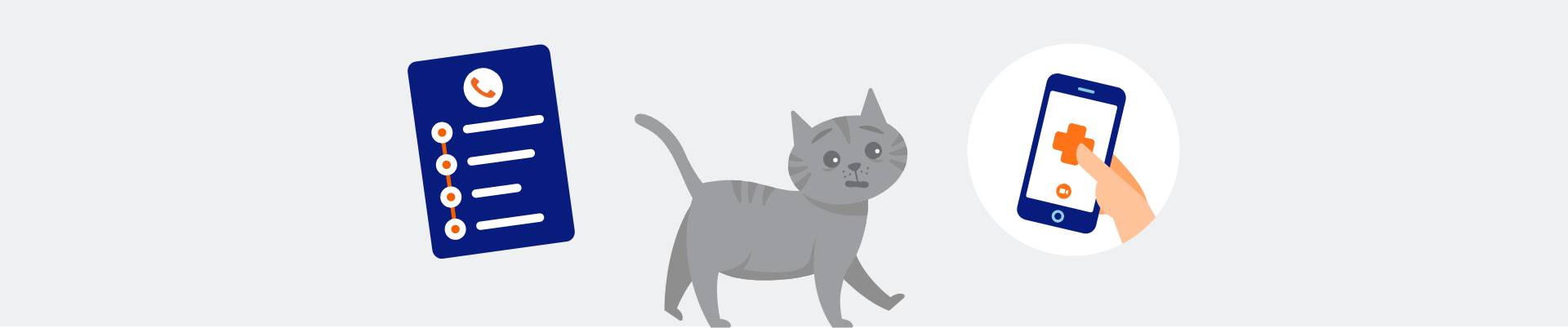 Illustration of a cat by a first aid list