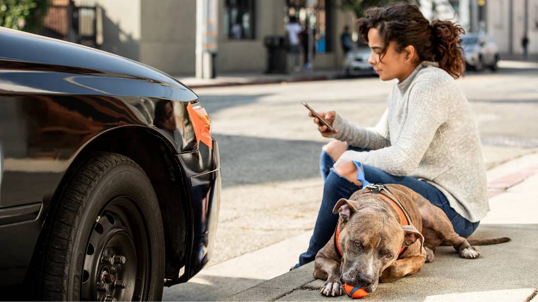 A woman on her phone sits next to her large brown dog outside the woman's car