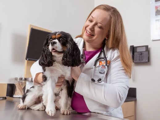 Fleet farm dog vaccines best sale