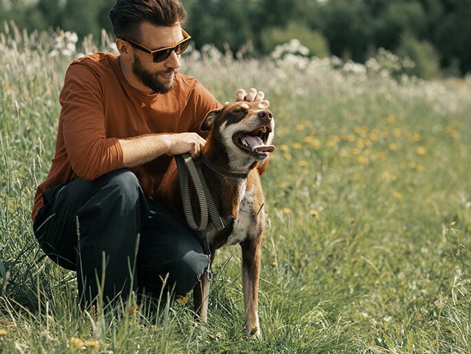 A man petting his dog in a field