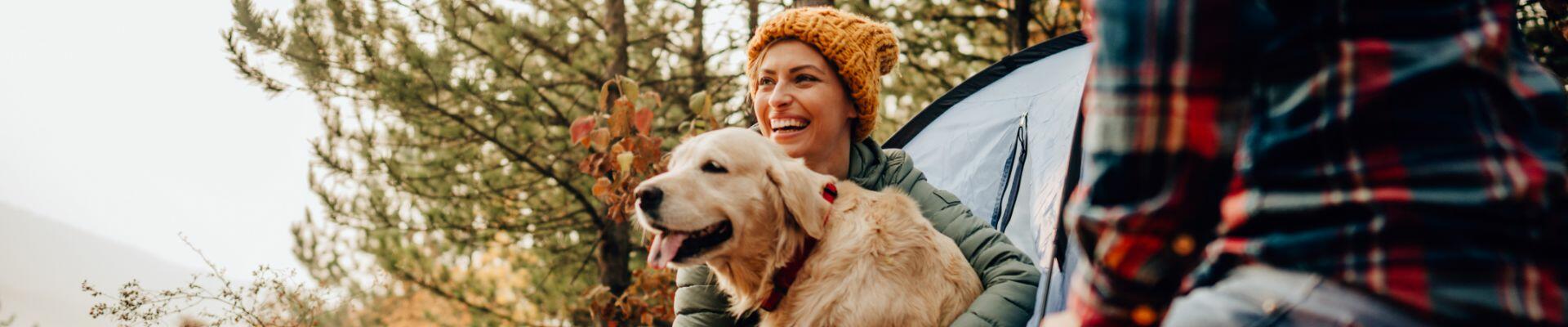 A Golden Retriever in a field with its owner