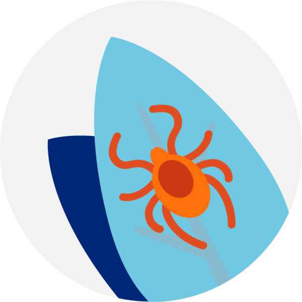 Tick borne diseases