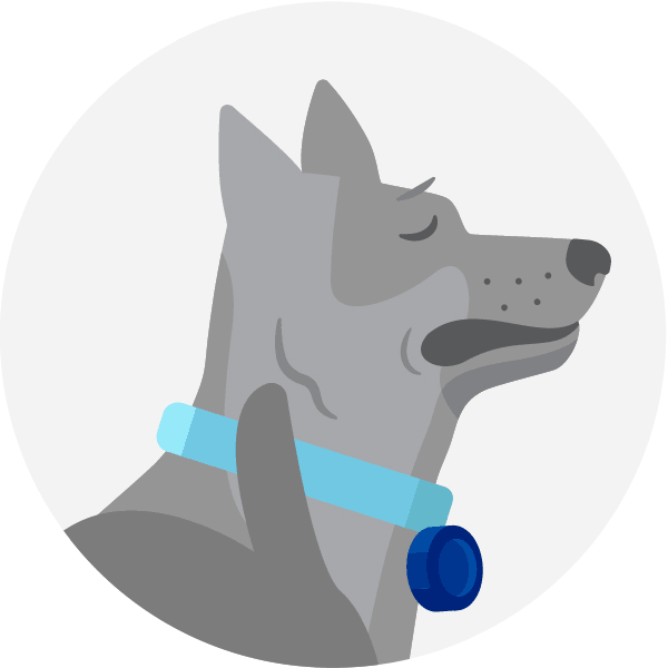 Vector graphic of a dog