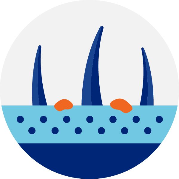 Vector graphic of pet dandruff
