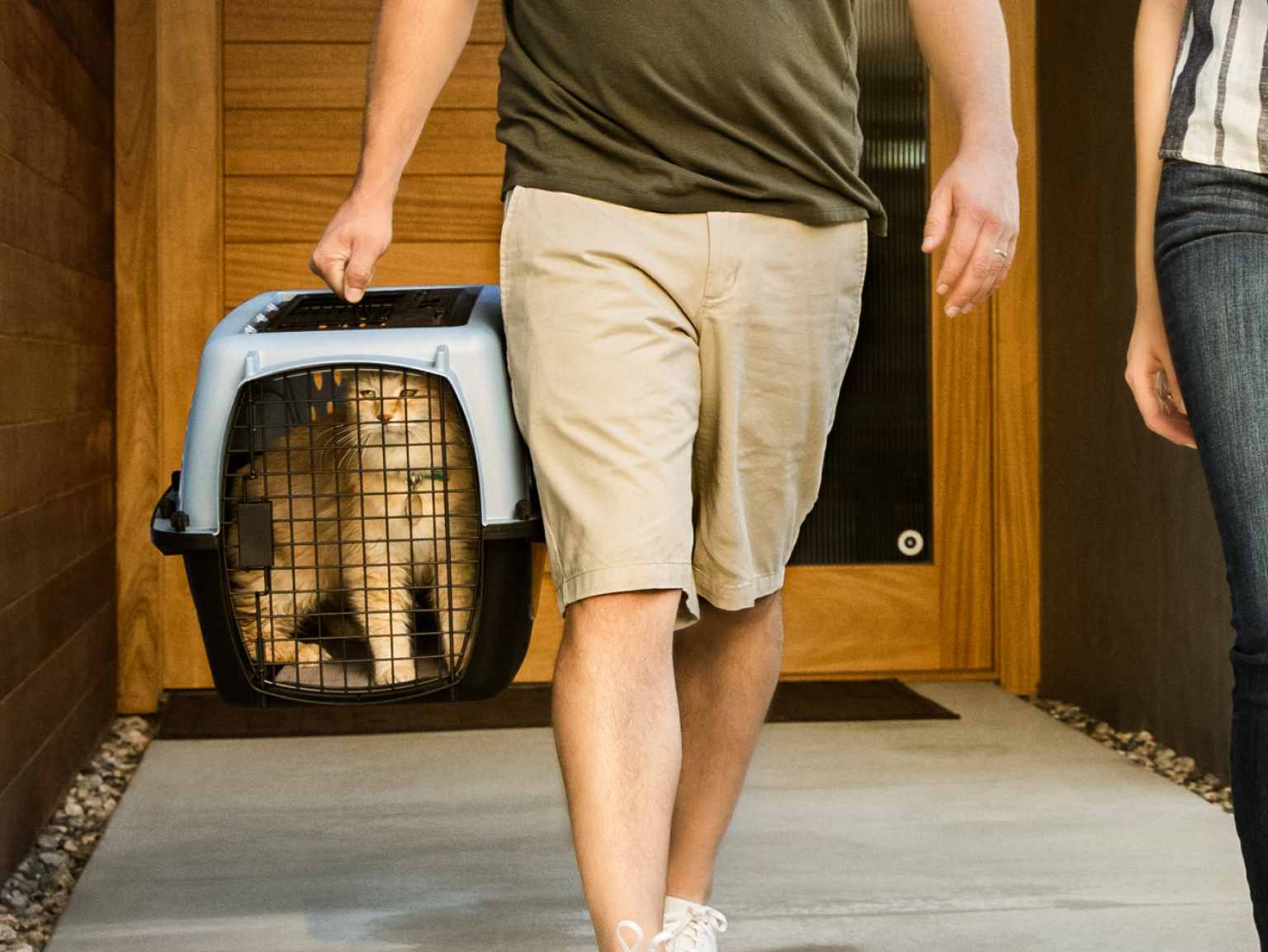 A cat owner carrying his cat in a crate