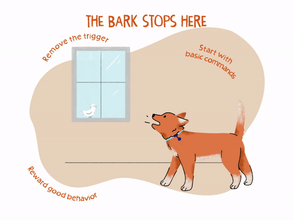 how to stop a dog from barking too much