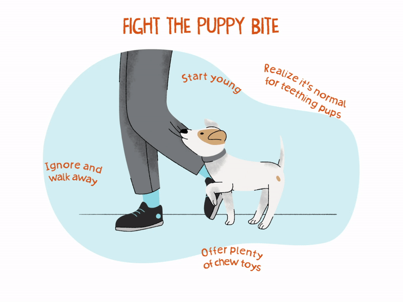 how to make a dog bite you