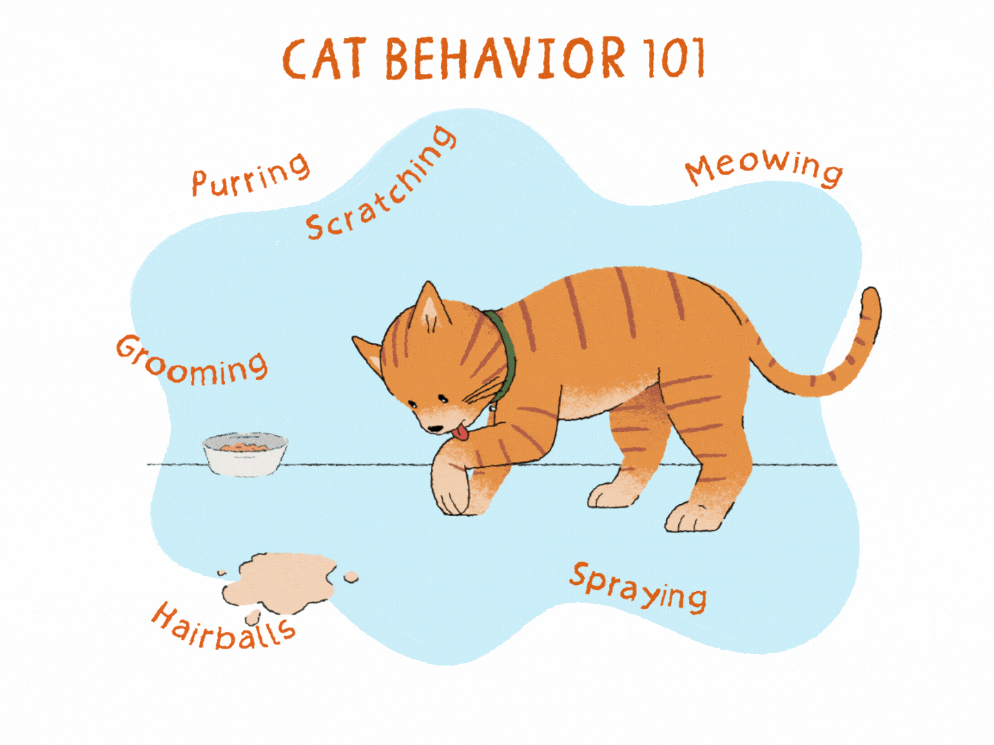 9 Cat Noises and What They Mean