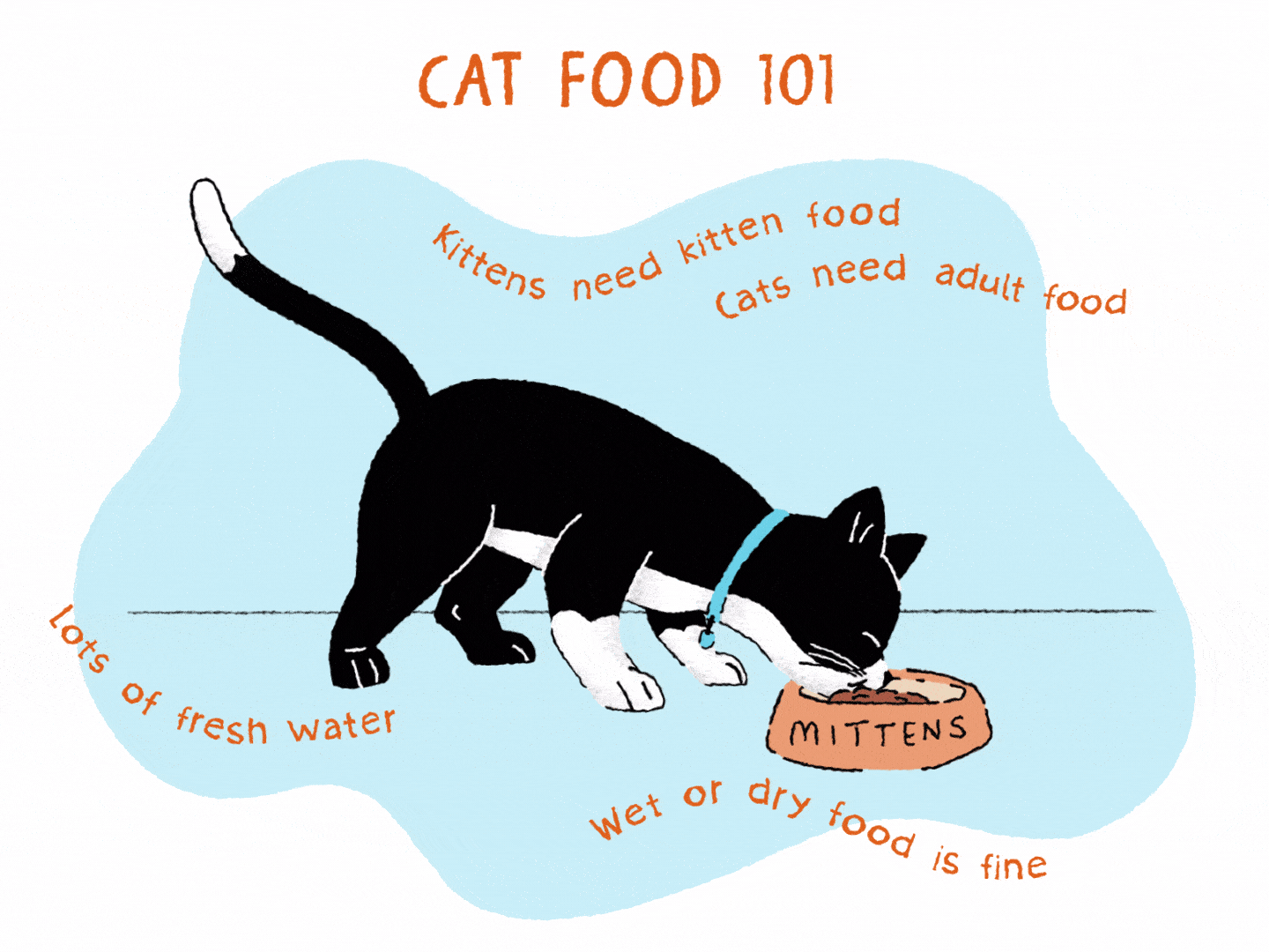 https://www.banfield.com/-/media/Project/Banfield/Main/en/Wellness_at_Banfield/kitten_hub/picking_a_food_for_cats/black-cat-eats-bowl-illustration.gif?h=1080&w=1440&rev=66d7ed3999264662baacb614f789bcb0&hash=FA860DB758C3FC1CC9010E4C2913FCF4