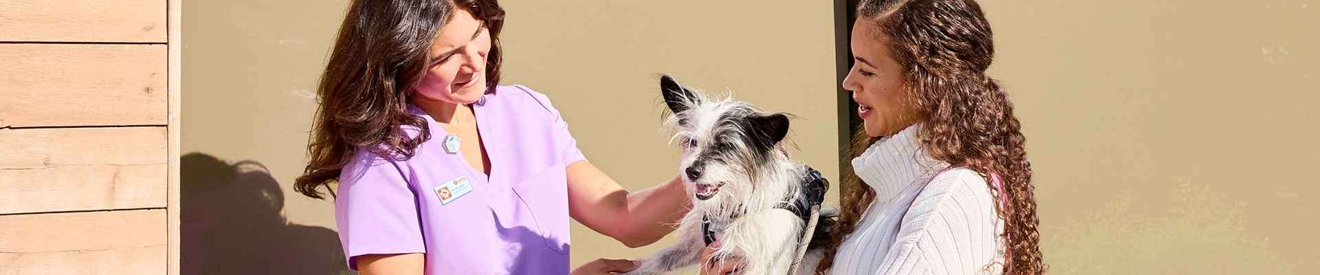 A CVT greets a woman with her pet dog