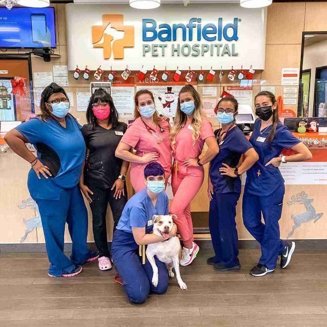 Banfield pet hospital hot sale hours near me