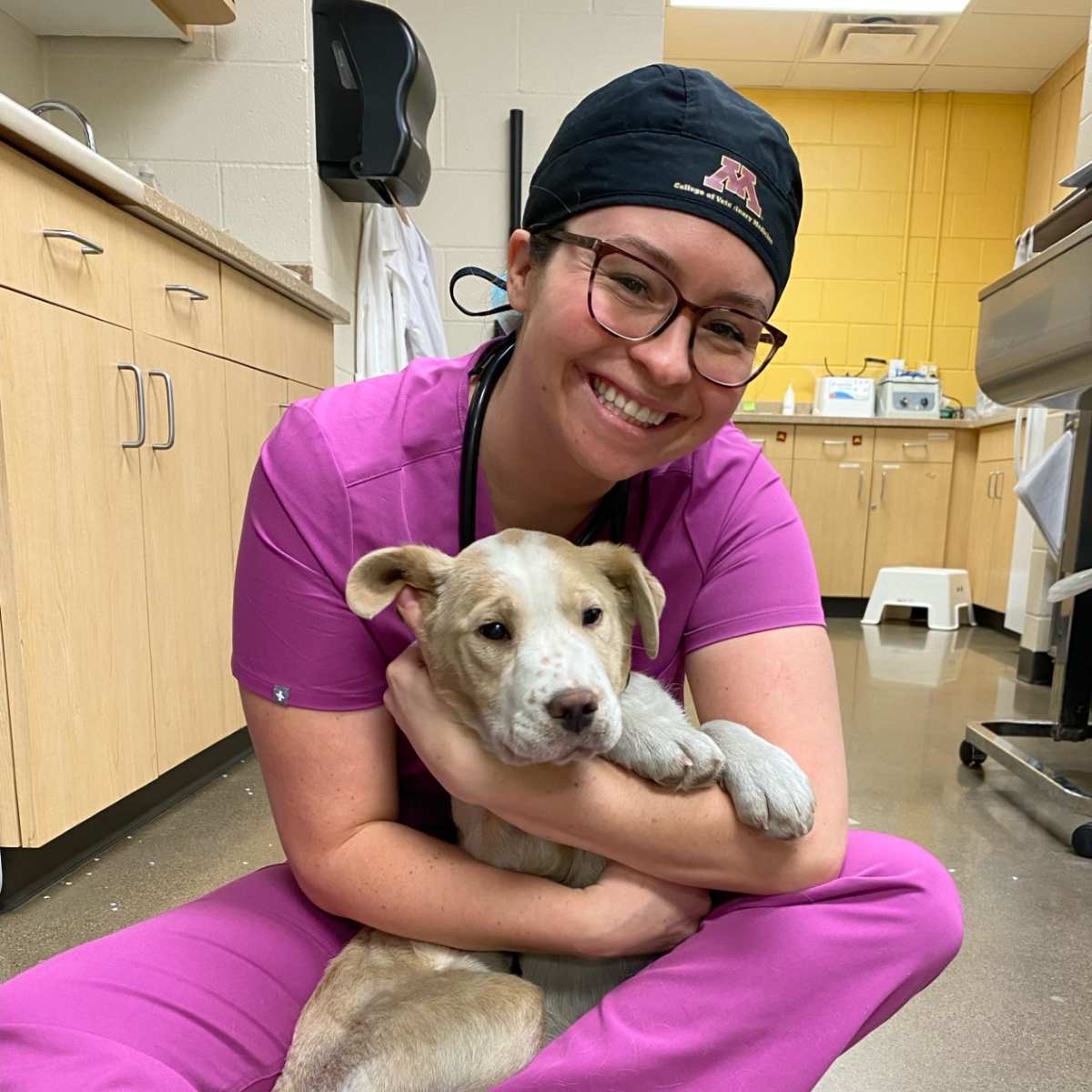 Dr. Anne Desalvo - Veterinarian, DVM