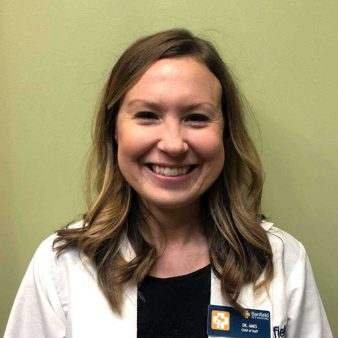 Profile picture of Michon Ames, DVM, Veterinarian