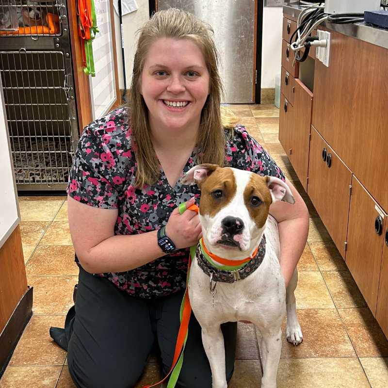 Veterinarians in Plymouth, MN | Banfield Pet Hospital