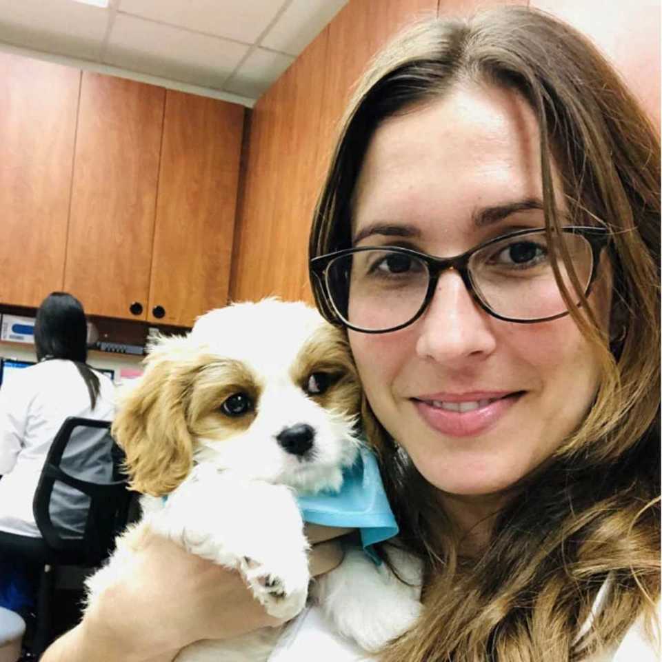 Profile picture of Marianne Cerda, DVM, Veterinarian