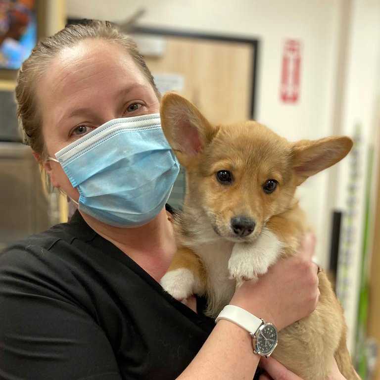 Profile picture of Caroline Cajigas, RVT, Registered Veterinary Technician