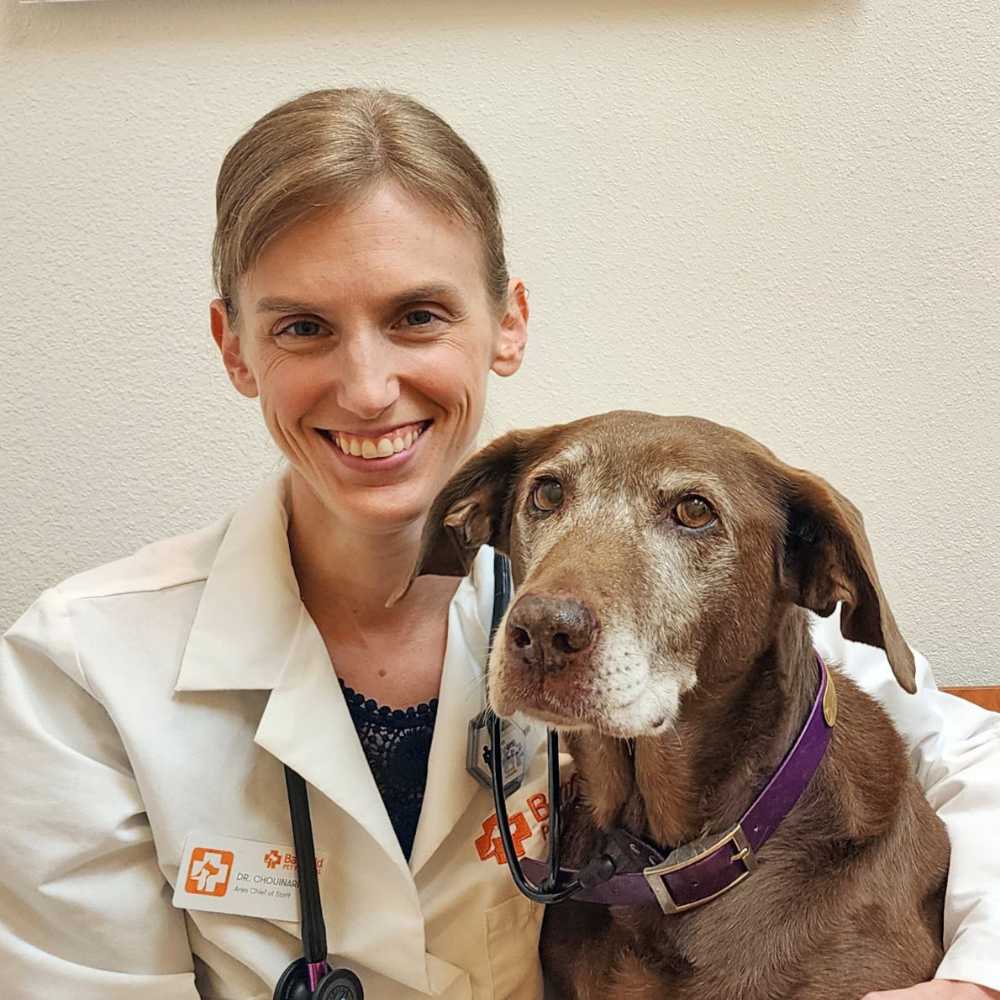 Profile picture of Megan Chouinard, Veterinarian