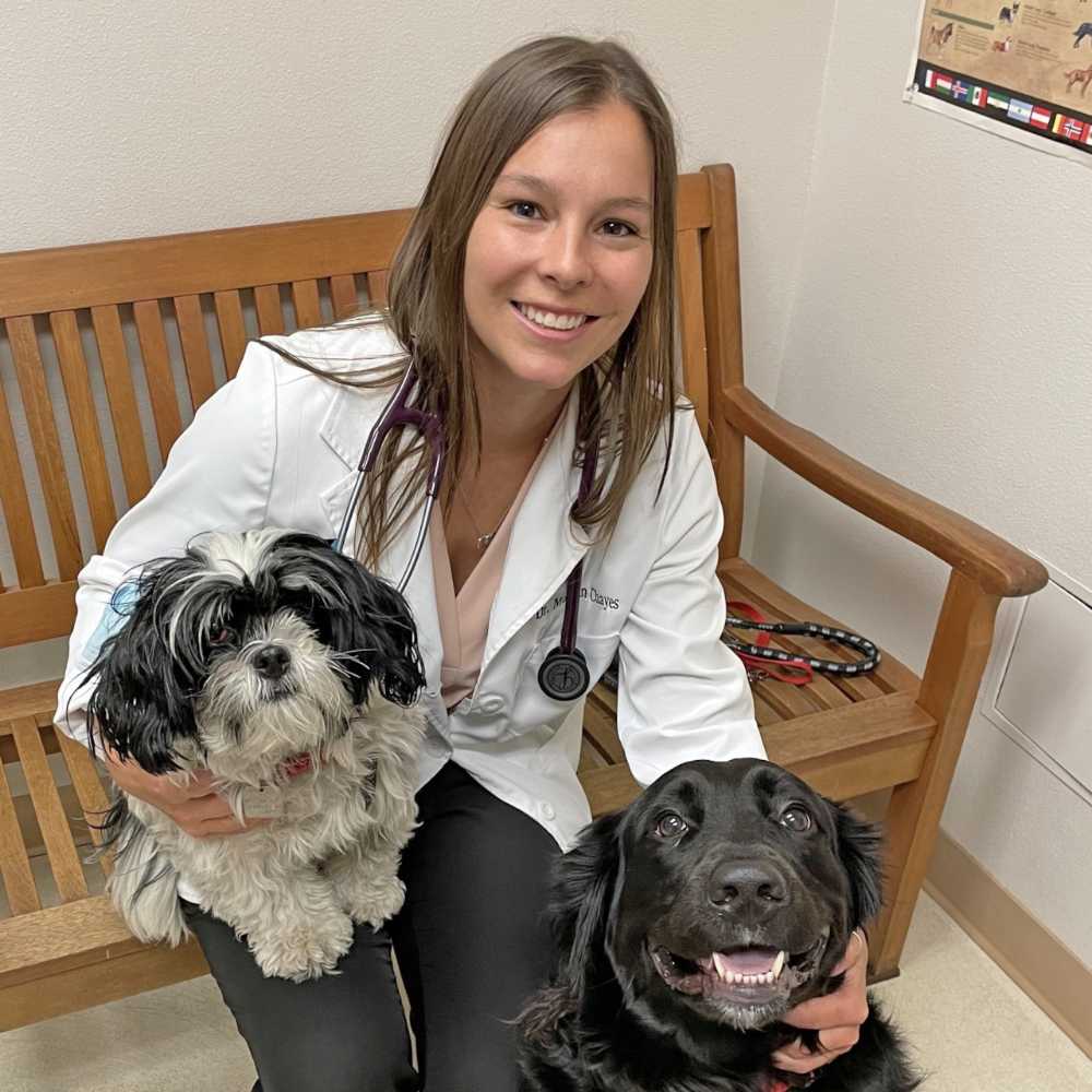 Profile picture of Morgan Chayes, DVM, Veterinarian
