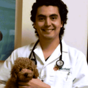 Profile picture of Hernan Diaz Parra, DVM, Veterinarian