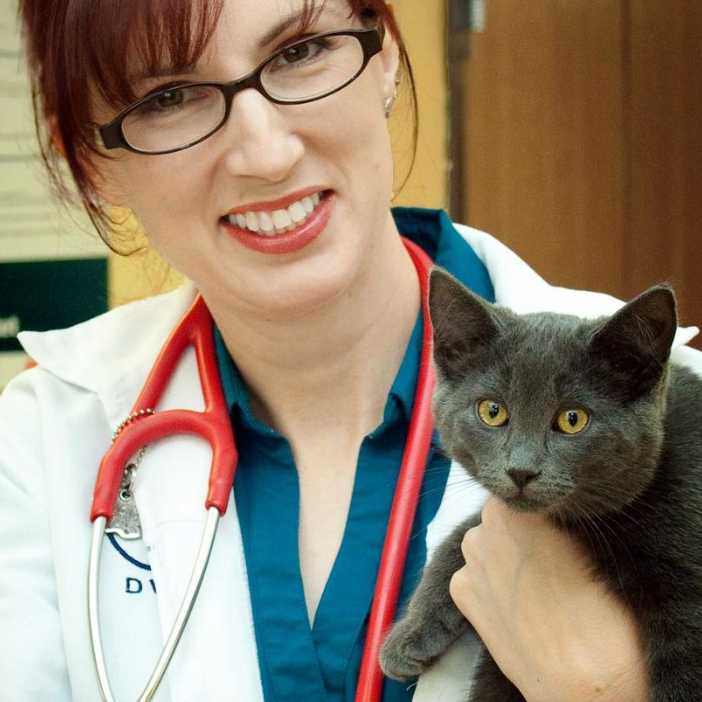 Profile picture of Sarah Edford, DVM, Veterinarian