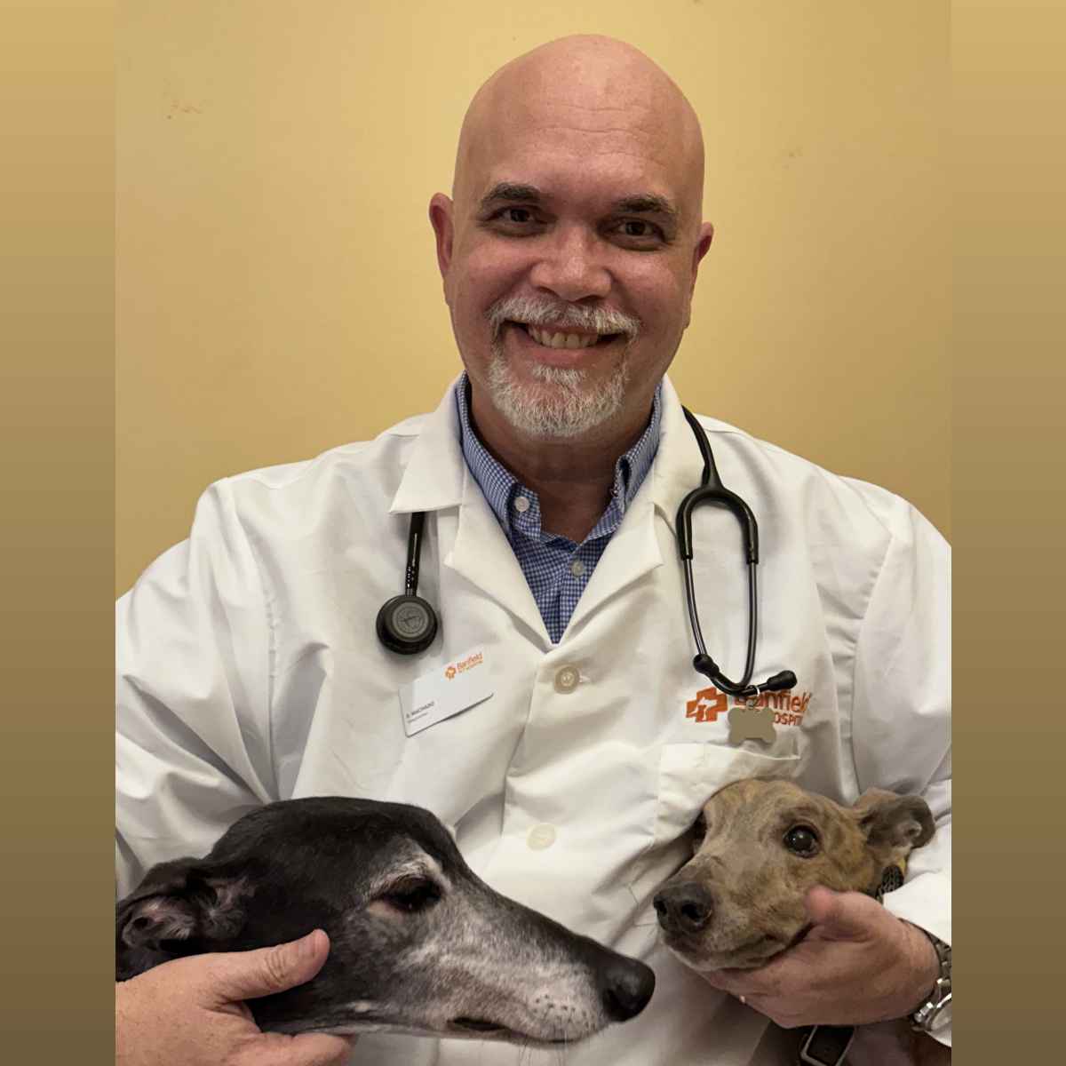 Profile picture of Eduardo Machado, DVM, Veterinarian