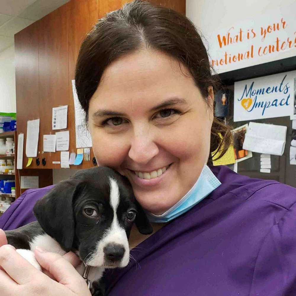 Profile picture of Megan Funaro, Veterinary Assistant