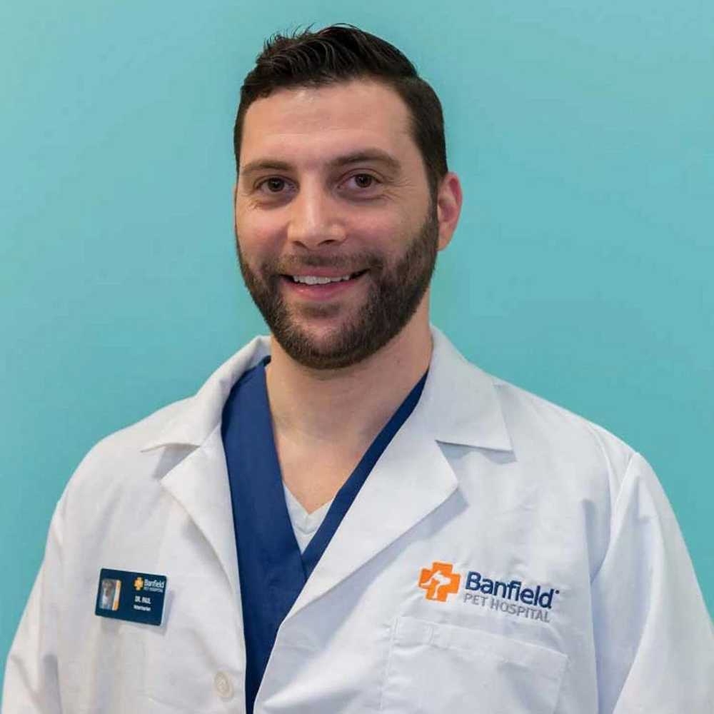 Profile picture of Raul Flynn, DVM, Veterinarian