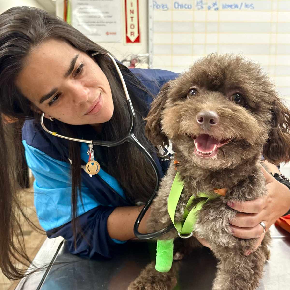 Profile picture of Frances Camille Rodriguez Vega, LVT, Licensed Veterinary Technician